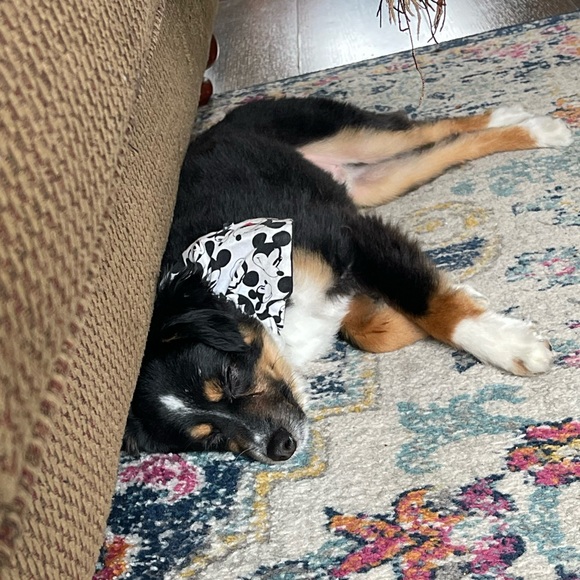 Meet your seller!! - Picture 6 of 10